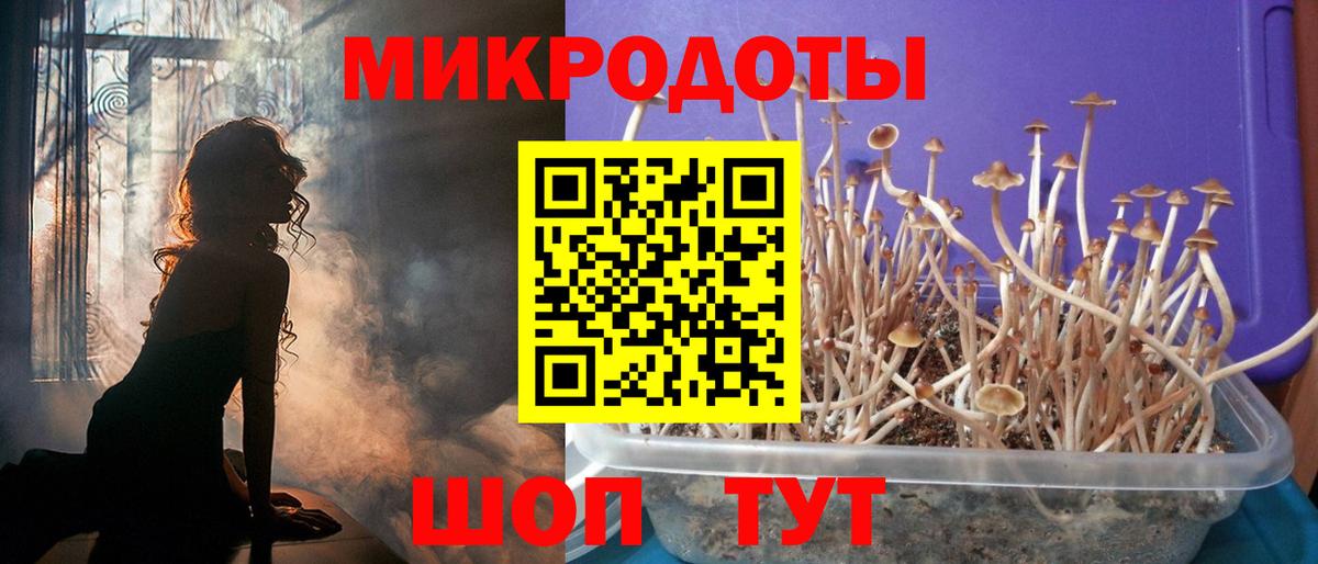 Бугуруслан  Псилоцибиновые грибы Cubensis  Вход с VPN 