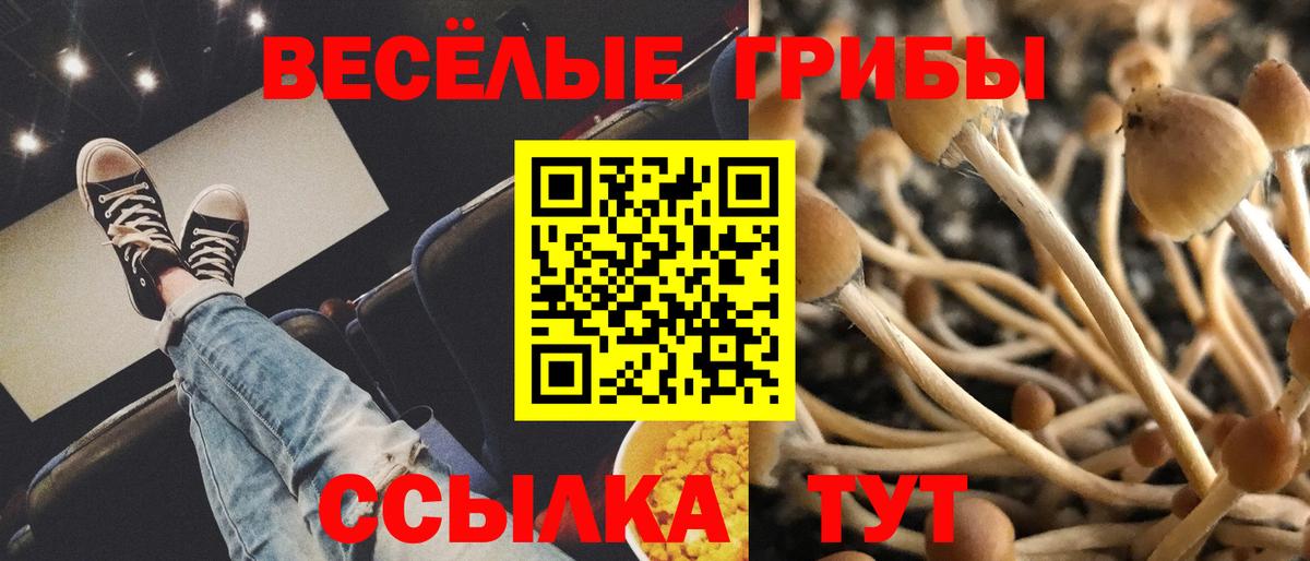 Галлюциногенные грибы Magic Shrooms Бугуруслан